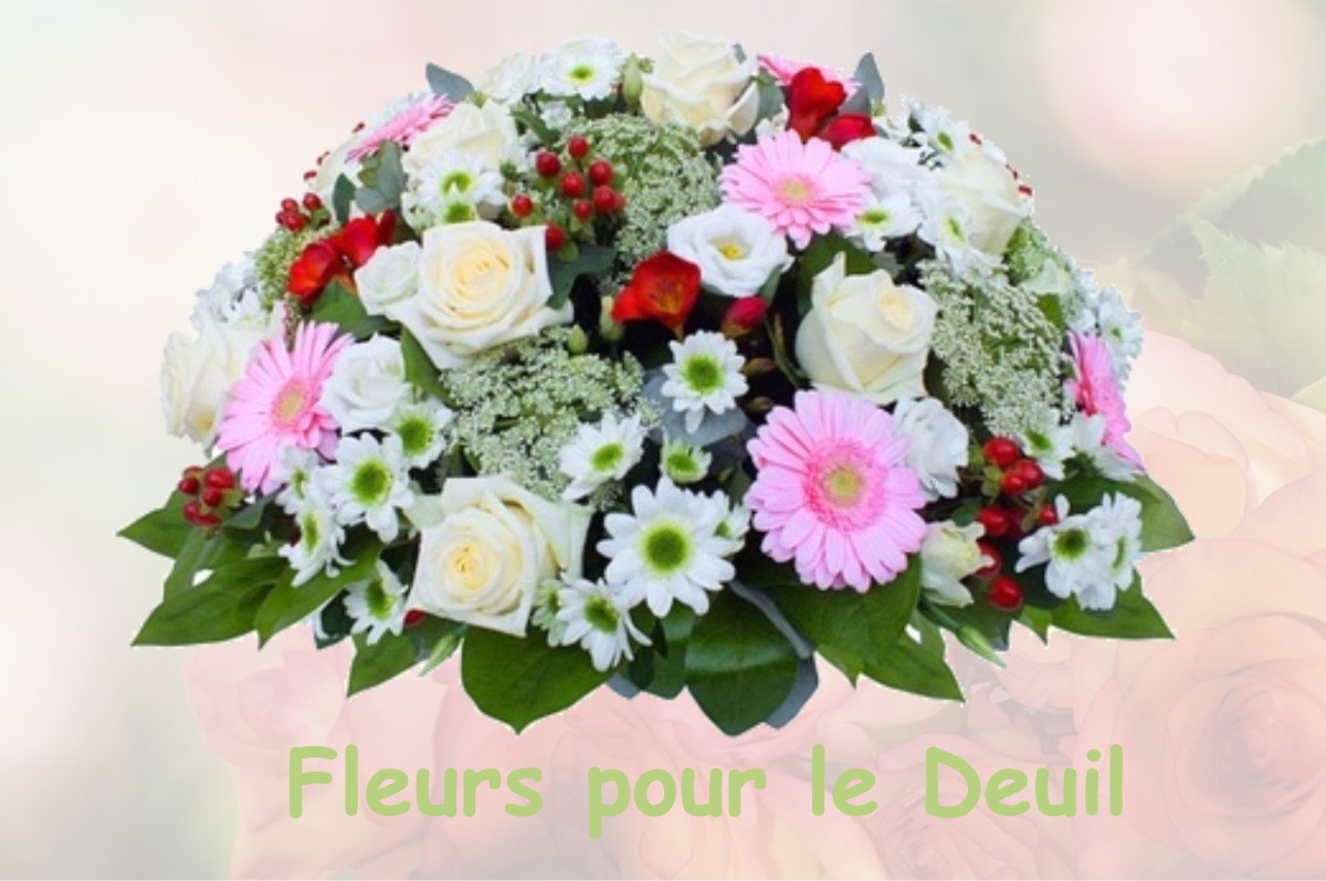fleurs deuil SAINT-JEAN-DE-LINIERES